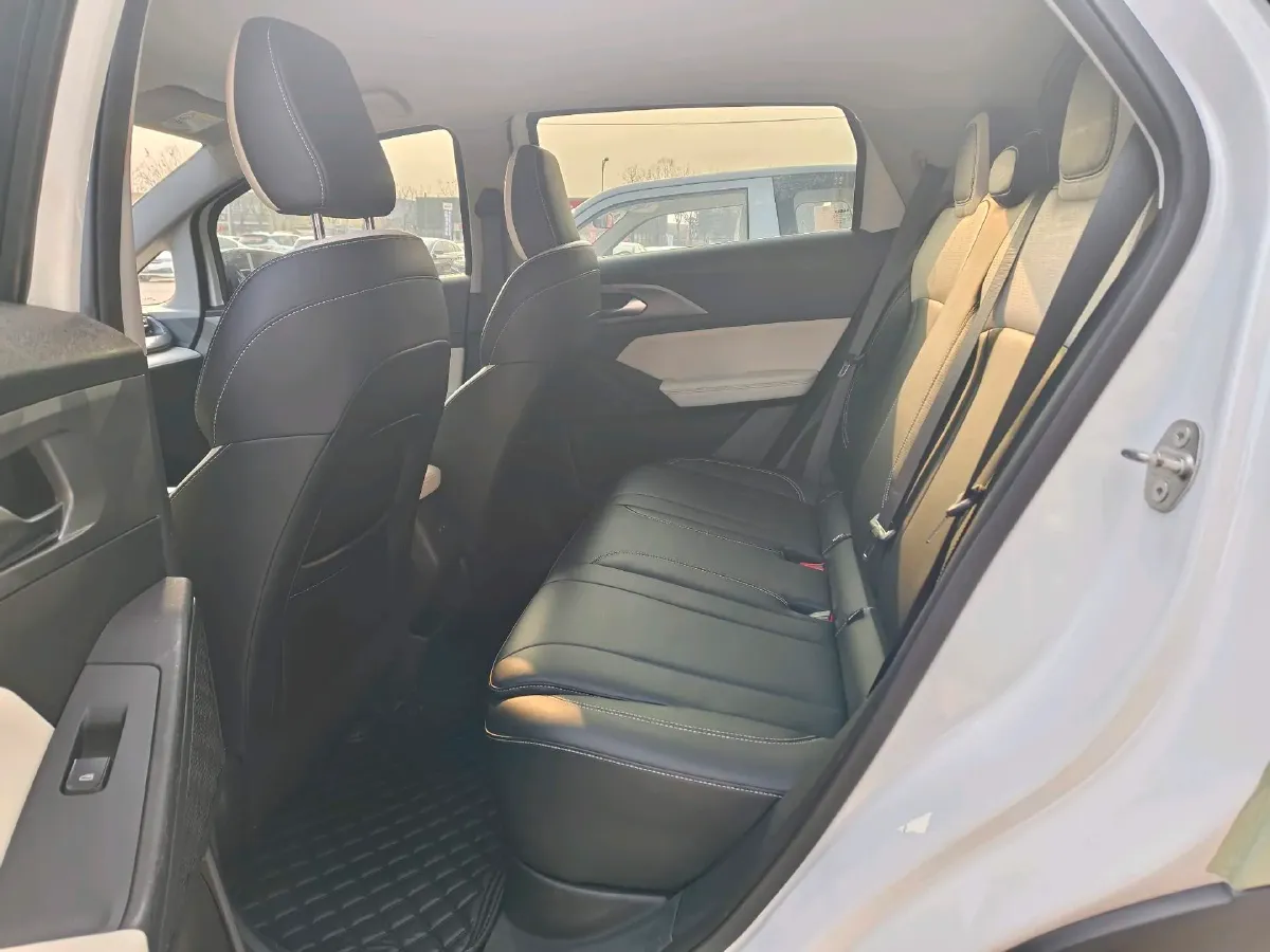 2024 Geometry E BEV 29.67KWH,autocango,china used car exporter,china ev exporter,chinese used car exporter,chinese used ev exporter