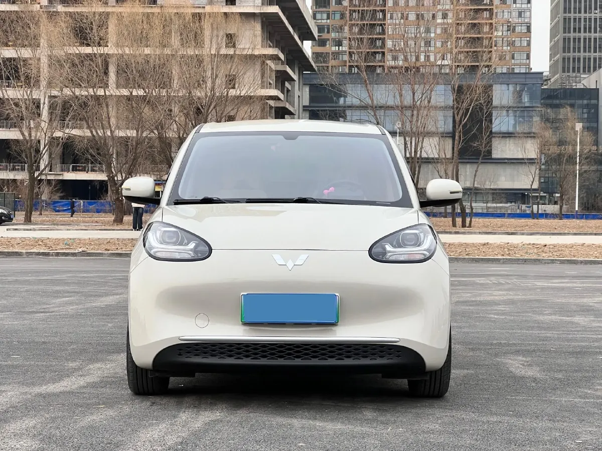 2025 WuLing BinGuo BEV,autocango,china used car exporter,china ev exporter,chinese used car exporter,chinese used ev exporter