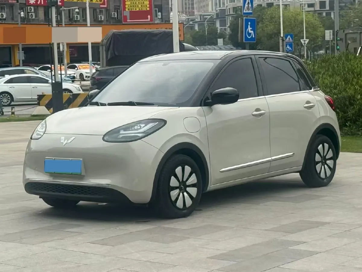 2023 WuLing BinGuo BEV 31.9KWH,autocango,china used car exporter,china ev exporter,chinese used car exporter,chinese used ev exporter