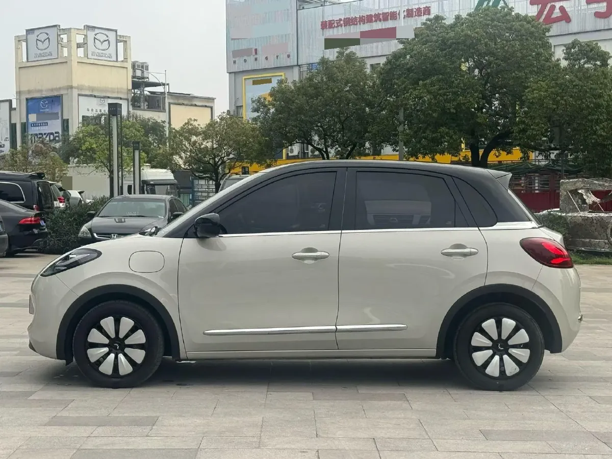 2023 WuLing BinGuo BEV 31.9KWH,autocango,china used car exporter,china ev exporter,chinese used car exporter,chinese used ev exporter