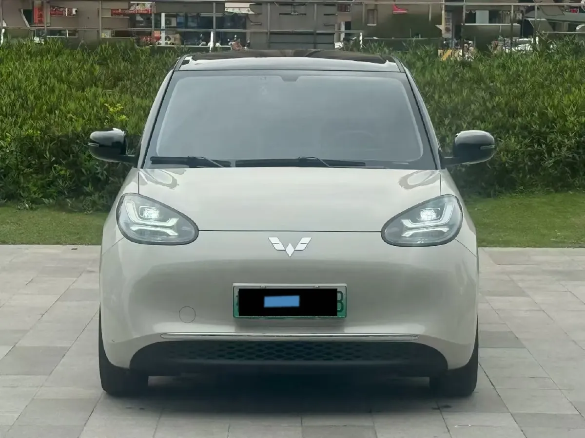 2023 WuLing BinGuo BEV 31.9KWH,autocango,china used car exporter,china ev exporter,chinese used car exporter,chinese used ev exporter