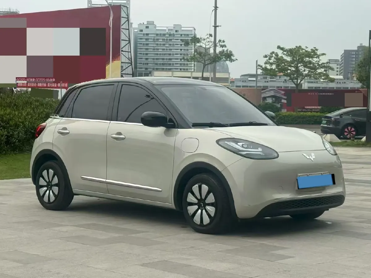 2023 WuLing BinGuo BEV 31.9KWH,autocango,china used car exporter,china ev exporter,chinese used car exporter,chinese used ev exporter
