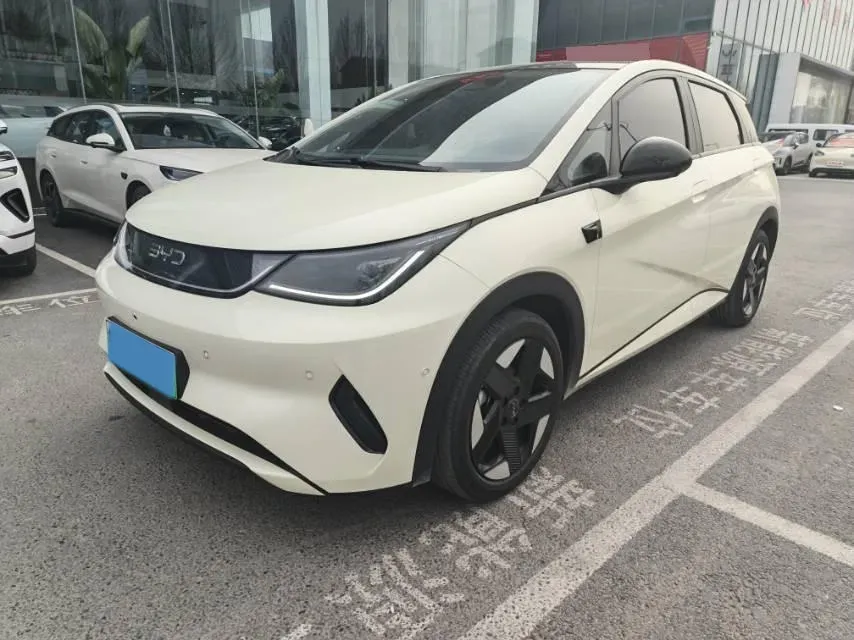 2025 BYD Dolphin BEV 60.48KWH,autocango,china used car exporter,china ev exporter,chinese used car exporter,chinese used ev exporter
