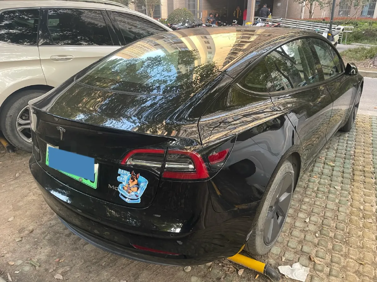 2021 Tesla Model 3 BEV 55KWH,autocango,china used car exporter,china ev exporter,chinese used car exporter,chinese used ev exporter