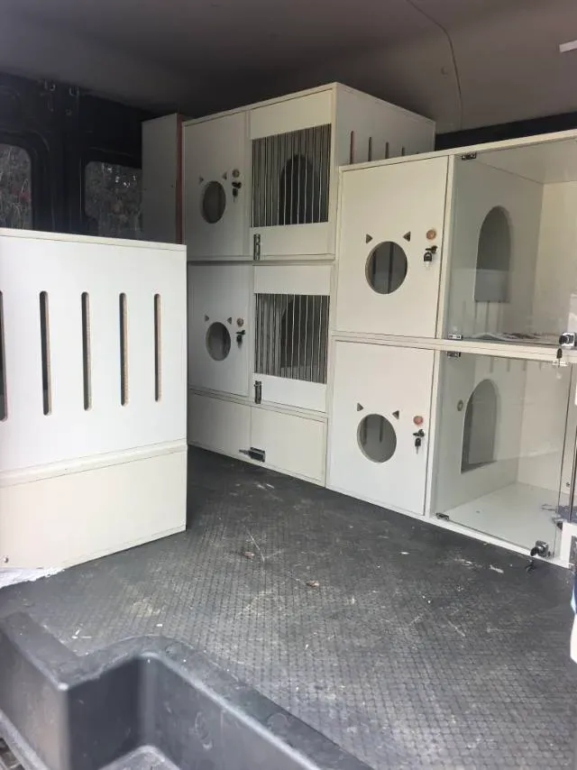 2021 DongFeng DFAC YuFeng 2.0T 136HP L4 6MT,autocango,china used car exporter,china ev exporter,chinese used car exporter,chinese used ev exporter