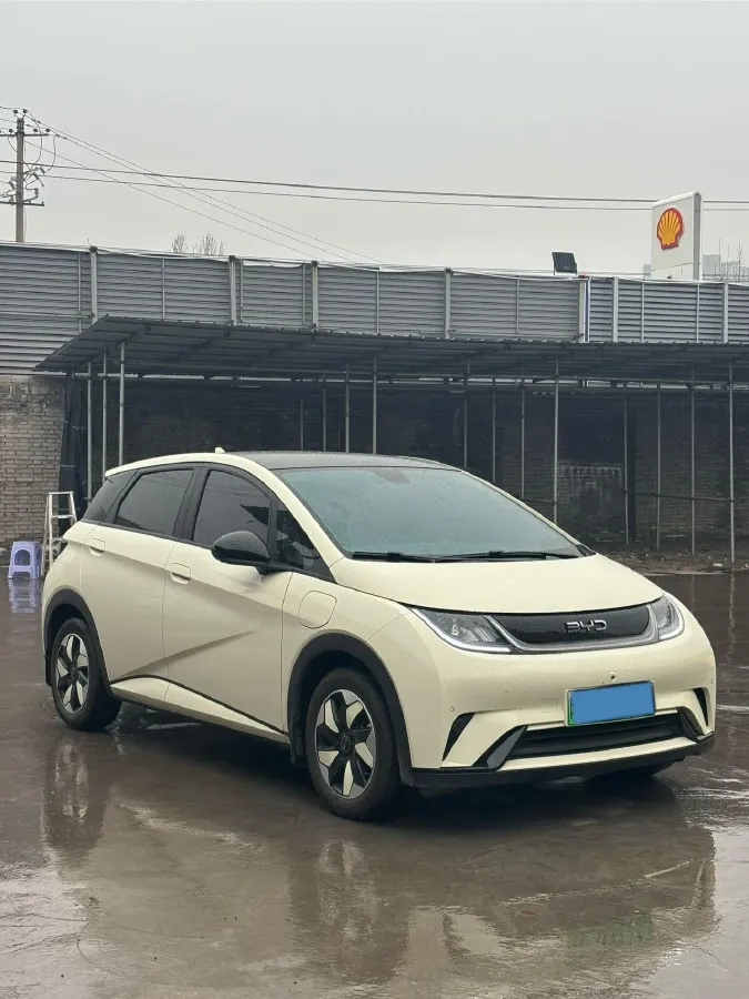 2025 BYD Dolphin BEV 44.928KWH,autocango,china used car exporter,china ev exporter,chinese used car exporter,chinese used ev exporter