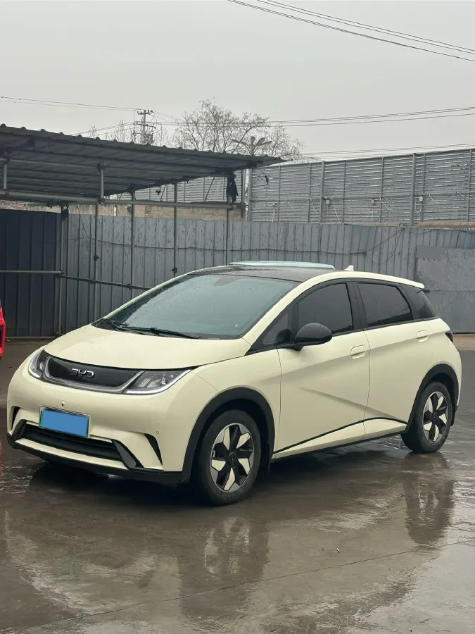 2025 BYD Dolphin BEV 44.928KWH,autocango,china used car exporter,china ev exporter,chinese used car exporter,chinese used ev exporter