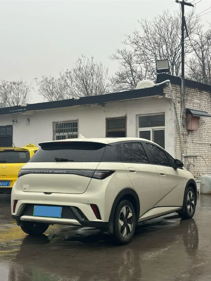 2025 BYD Dolphin BEV 44.928KWH,autocango,china used car exporter,china ev exporter,chinese used car exporter,chinese used ev exporter