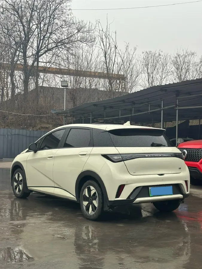 2025 BYD Dolphin BEV 44.928KWH,autocango,china used car exporter,china ev exporter,chinese used car exporter,chinese used ev exporter
