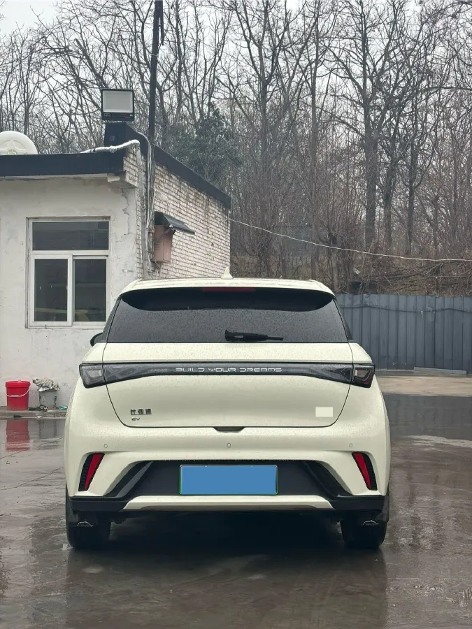 2025 BYD Dolphin BEV 44.928KWH,autocango,china used car exporter,china ev exporter,chinese used car exporter,chinese used ev exporter