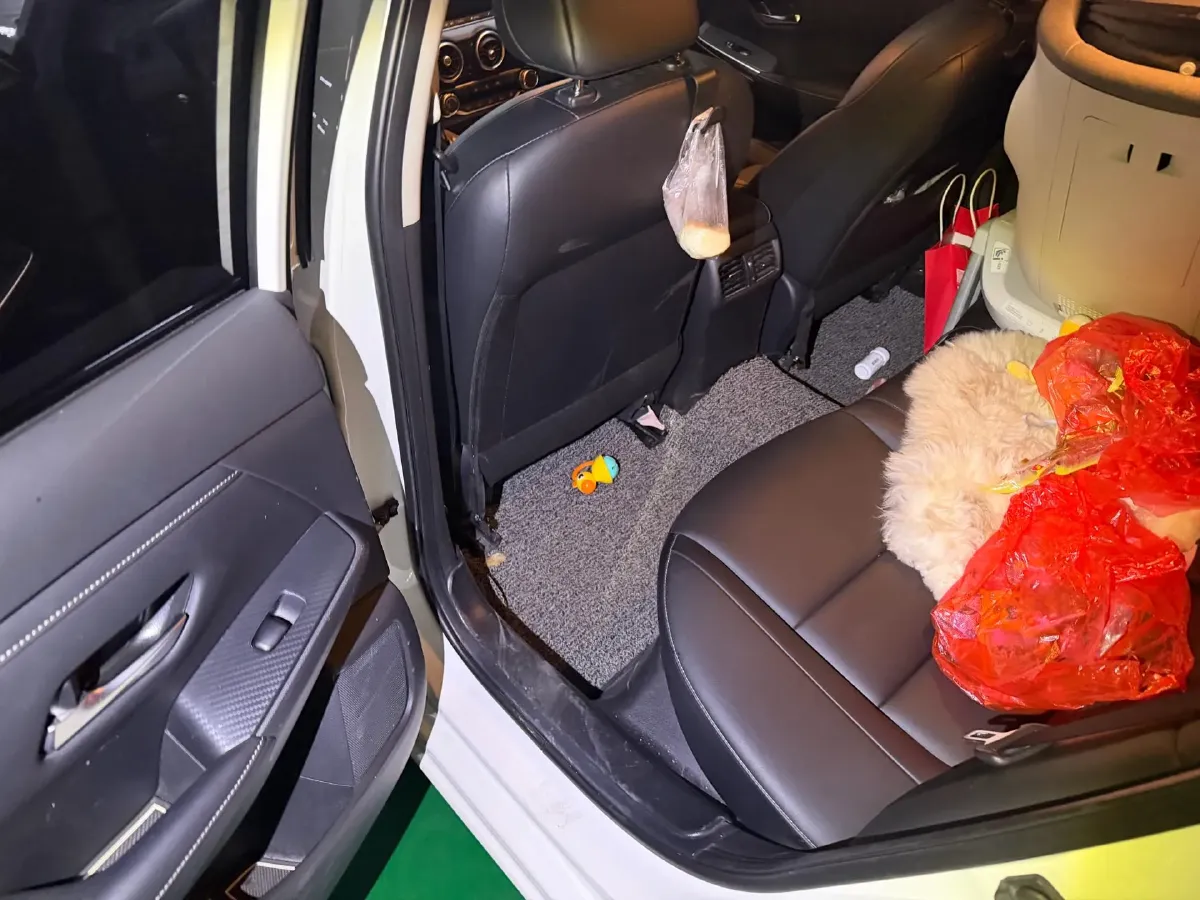 2020 Nissan Sylphy 1.6L 139HP L4 CVT,autocango,china used car exporter,china ev exporter,chinese used car exporter,chinese used ev exporter