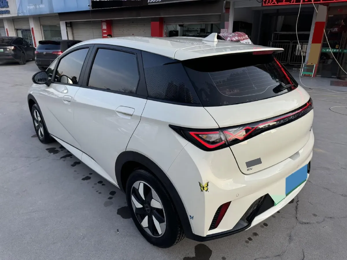 2025 BYD Dolphin BEV 45.12KWH,autocango,china used car exporter,china ev exporter,chinese used car exporter,chinese used ev exporter