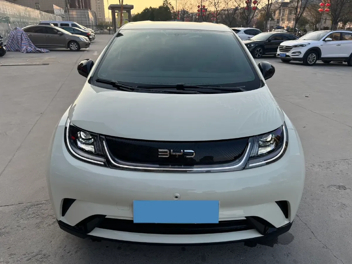 2025 BYD Dolphin BEV 45.12KWH,autocango,china used car exporter,china ev exporter,chinese used car exporter,chinese used ev exporter