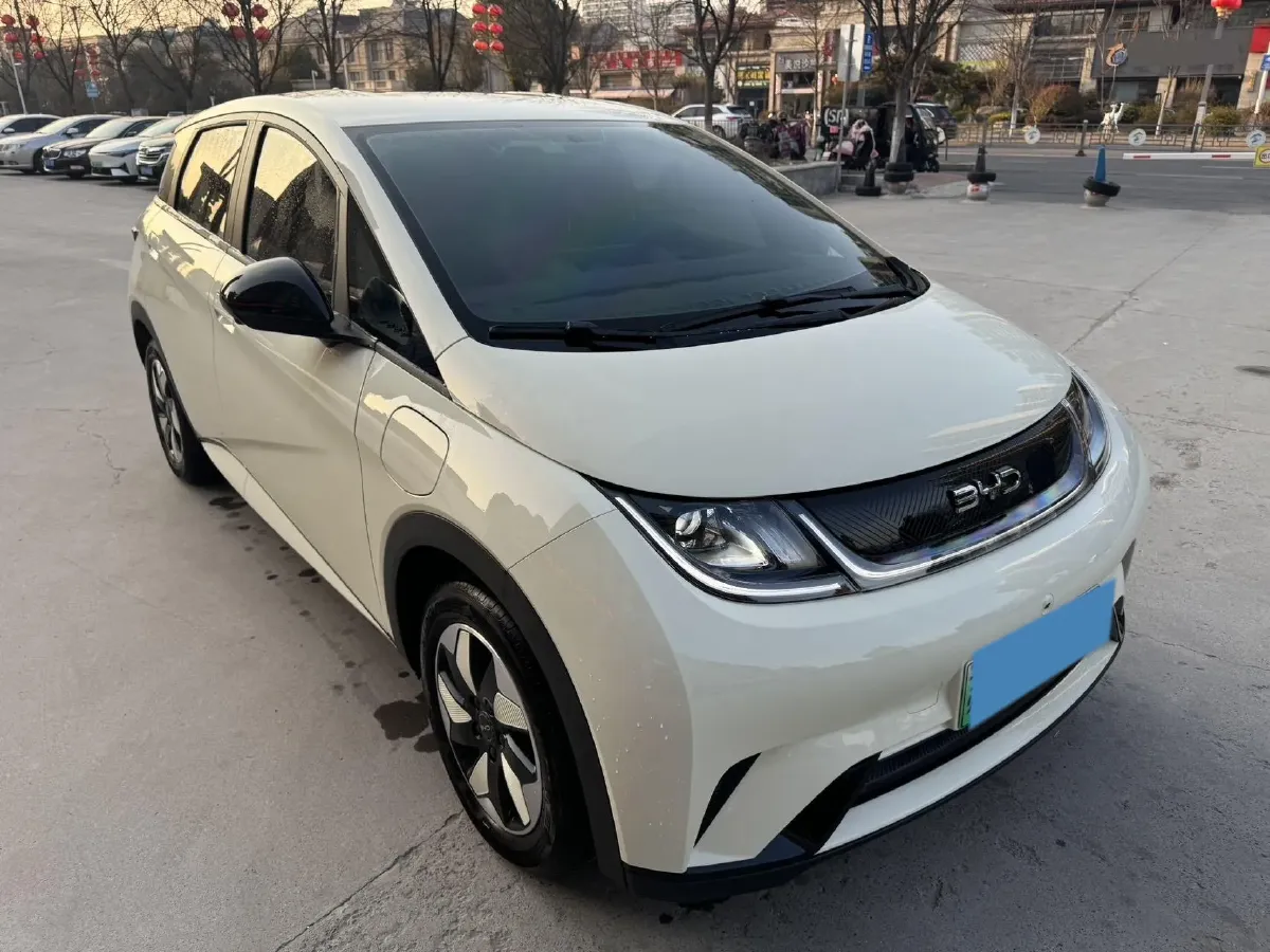 2025 BYD Dolphin BEV 45.12KWH,autocango,china used car exporter,china ev exporter,chinese used car exporter,chinese used ev exporter