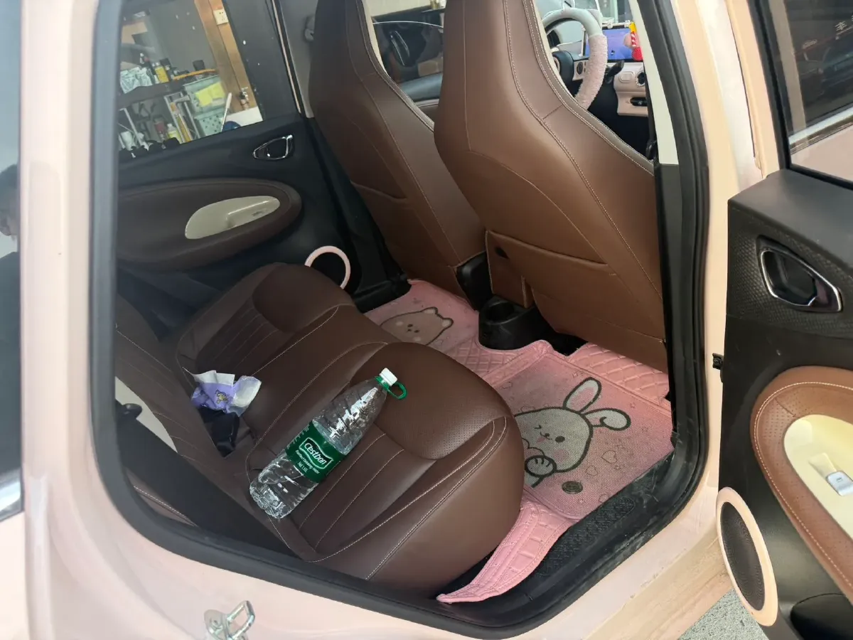 2023 WuLing BinGuo BEV 37.9KWH,autocango,china used car exporter,china ev exporter,chinese used car exporter,chinese used ev exporter