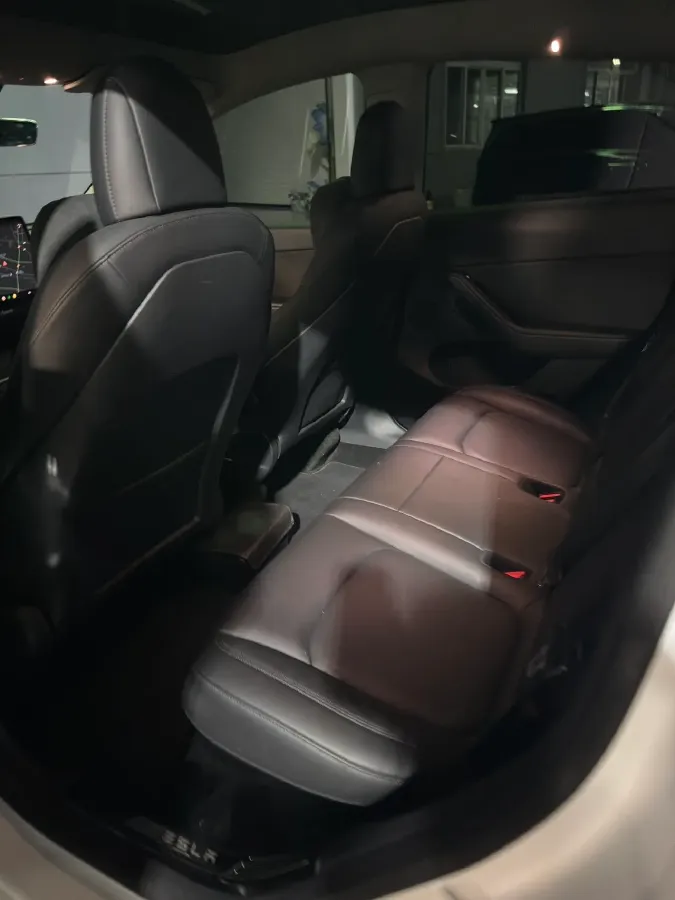 2021 Tesla Model 3 BEV 76.8KWH,autocango,china used car exporter,china ev exporter,chinese used car exporter,chinese used ev exporter