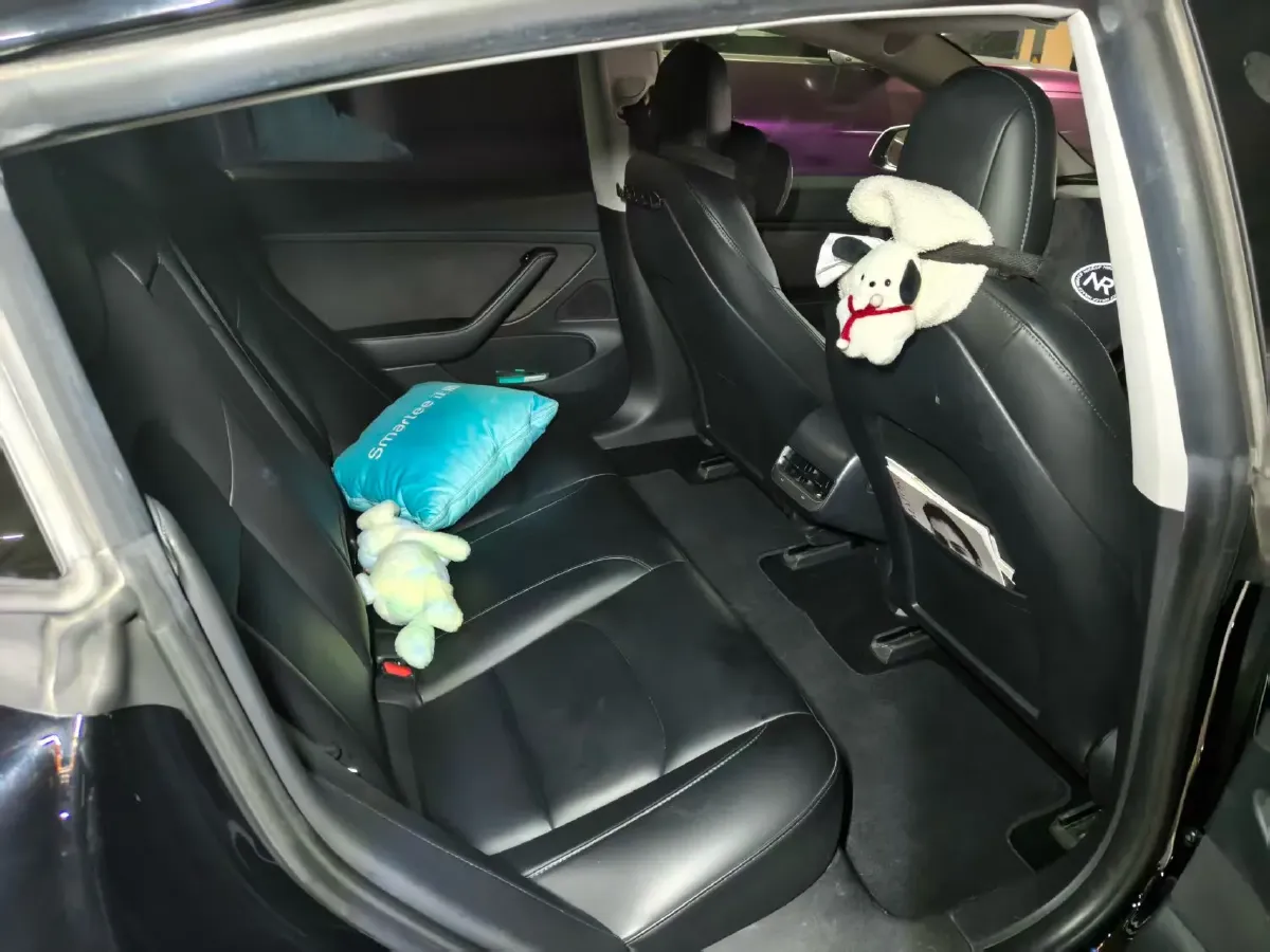 2020 Tesla Model 3 BEV 55KWH,autocango,china used car exporter,china ev exporter,chinese used car exporter,chinese used ev exporter