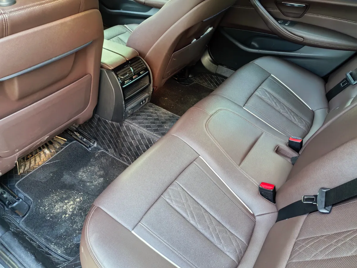 2021 BMW 5 Series 2.0T 184HP L4 8AT PHEV 17.7KWH,autocango,china used car exporter,china ev exporter,chinese used car exporter,chinese used ev exporter