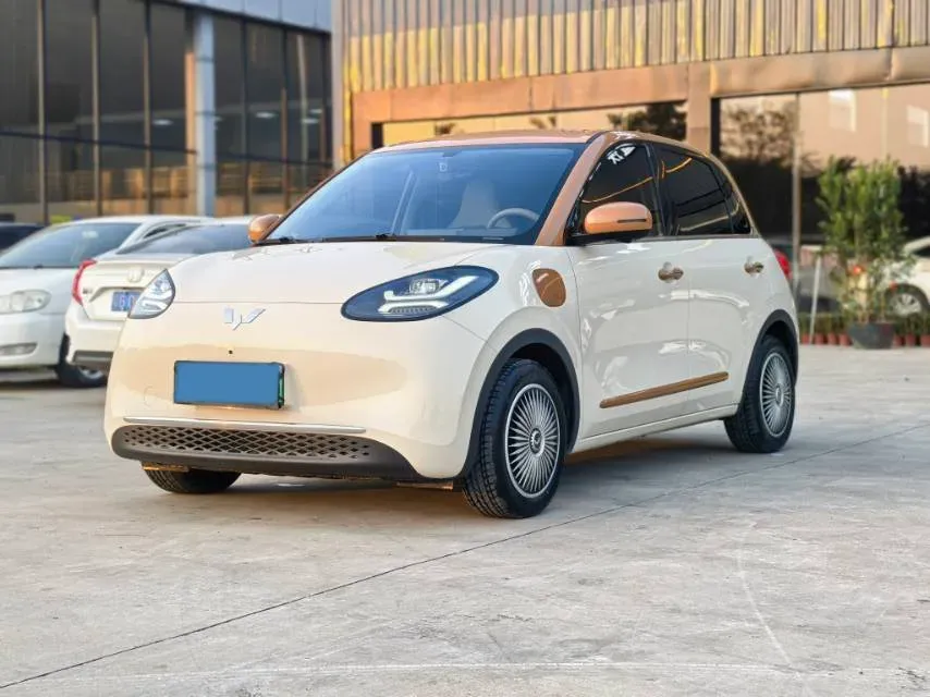 2024 WuLing BinGuo BEV 31.9KWH,autocango,china used car exporter,china ev exporter,chinese used car exporter,chinese used ev exporter