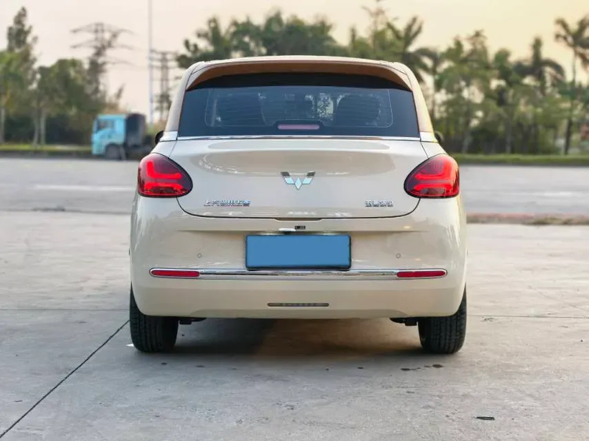 2024 WuLing BinGuo BEV 31.9KWH,autocango,china used car exporter,china ev exporter,chinese used car exporter,chinese used ev exporter