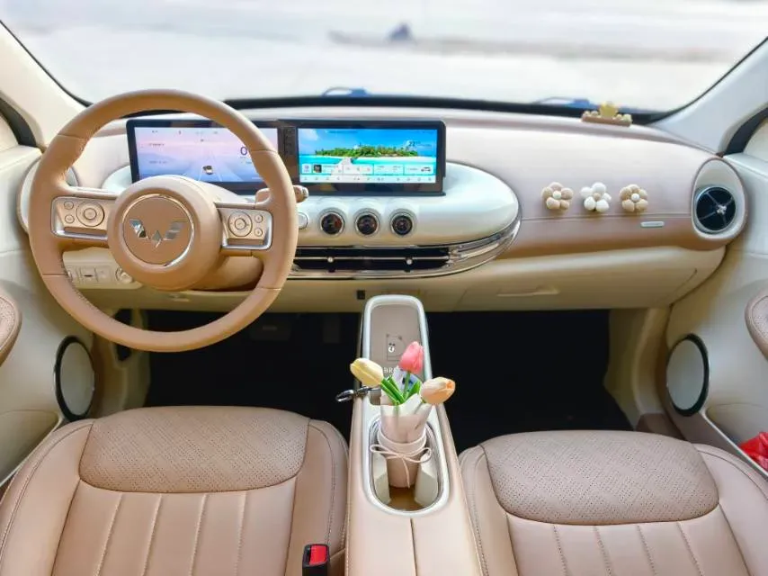 2024 WuLing BinGuo BEV 31.9KWH,autocango,china used car exporter,china ev exporter,chinese used car exporter,chinese used ev exporter