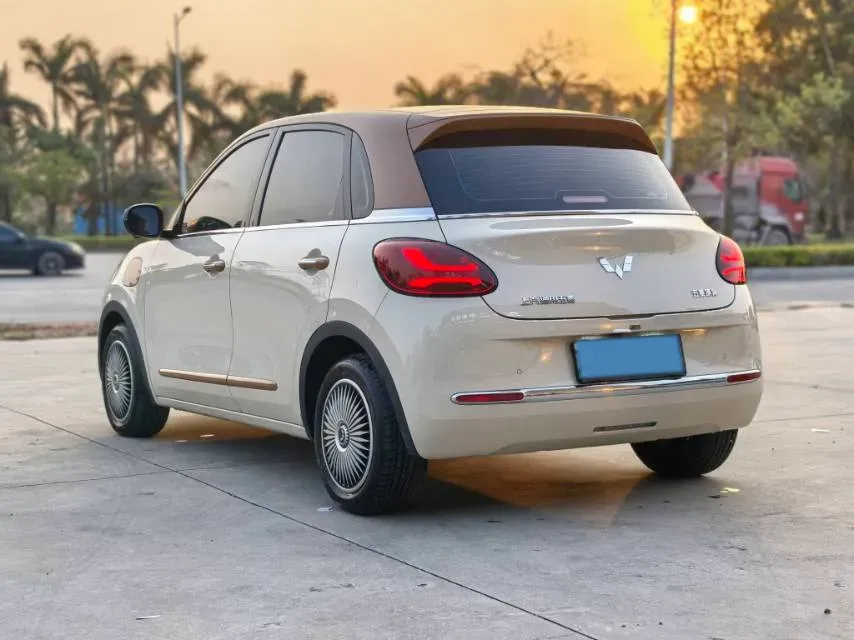 2024 WuLing BinGuo BEV 31.9KWH,autocango,china used car exporter,china ev exporter,chinese used car exporter,chinese used ev exporter