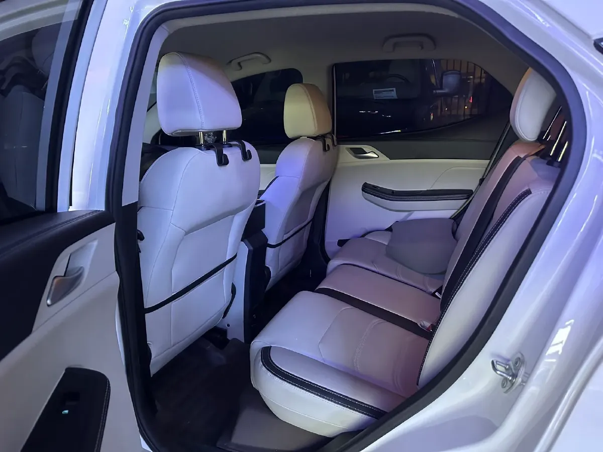 2021 BYD Song 1.5T 160HP L4 6DCT,autocango,china used car exporter,china ev exporter,chinese used car exporter,chinese used ev exporter