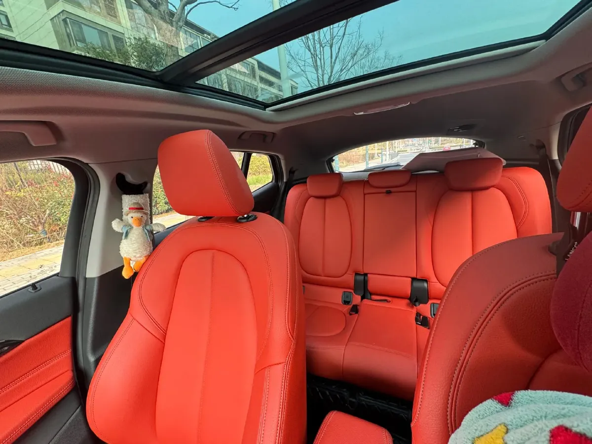 2023 BMW X2 2.0T 178HP L4 7DCT,autocango,china used car exporter,china ev exporter,chinese used car exporter,chinese used ev exporter