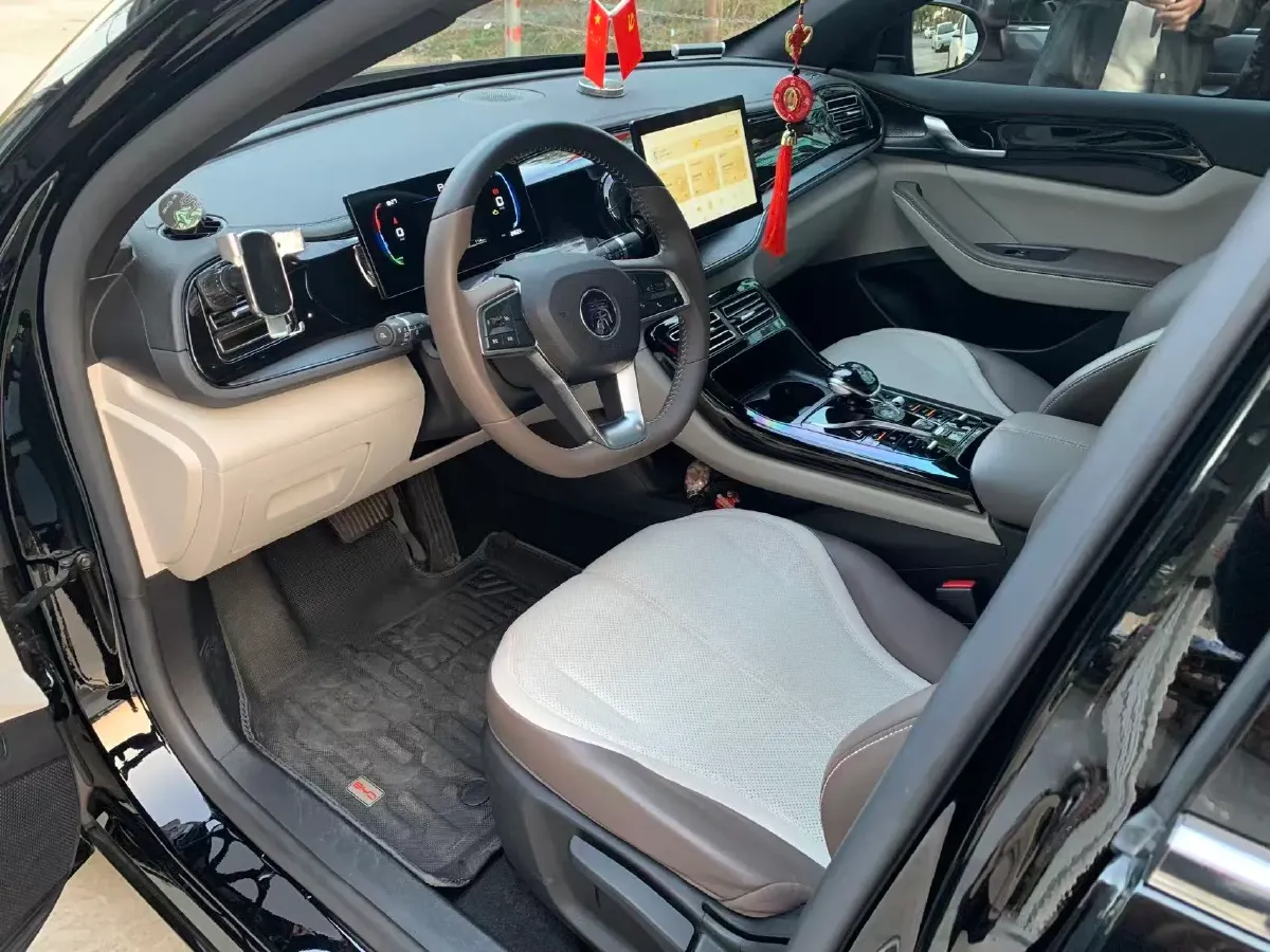 2024 BYD Qin Plus 1.5L 110HP L4 E-CVT PHEV 8.32KWH,autocango,china used car exporter,china ev exporter,chinese used car exporter,chinese used ev exporter