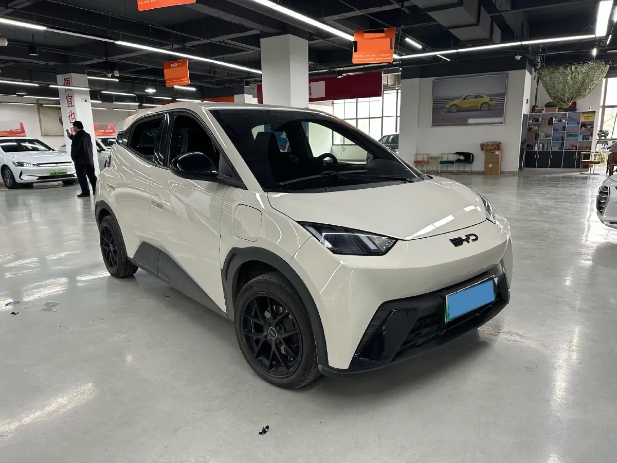 2024 BYD Seagull BEV 38.88KWH,autocango,china used car exporter,china ev exporter,chinese used car exporter,chinese used ev exporter