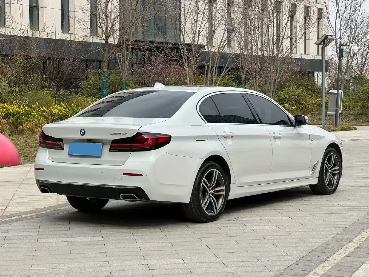 2021 BMW 5 Series 2.0T 252HP L4 8AT,autocango,china used car exporter,china ev exporter,chinese used car exporter,chinese used ev exporter