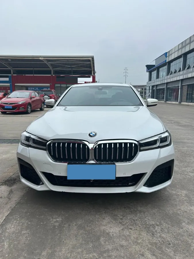 2021 BMW 5 Series 2.0T 184HP L4 8AT,autocango,china used car exporter,china ev exporter,chinese used car exporter,chinese used ev exporter