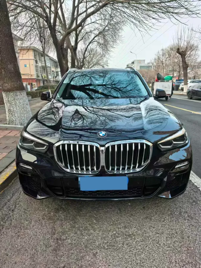 2021 BMW X5 2.0T 265HP L4 8AT,autocango,china used car exporter,china ev exporter,chinese used car exporter,chinese used ev exporter