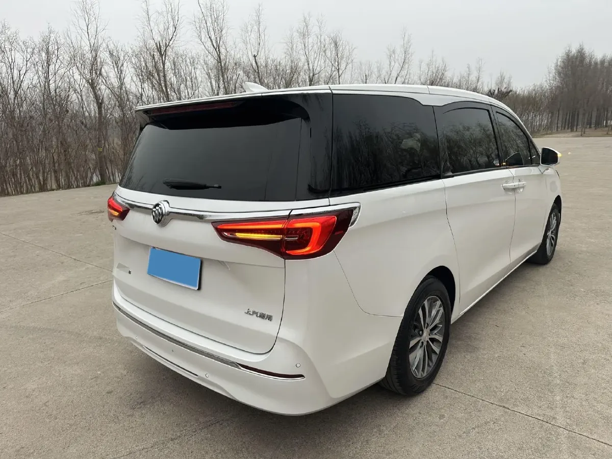 2020 Buick GL8 2.0T 237HP L4 9AT,autocango,china used car exporter,china ev exporter,chinese used car exporter,chinese used ev exporter