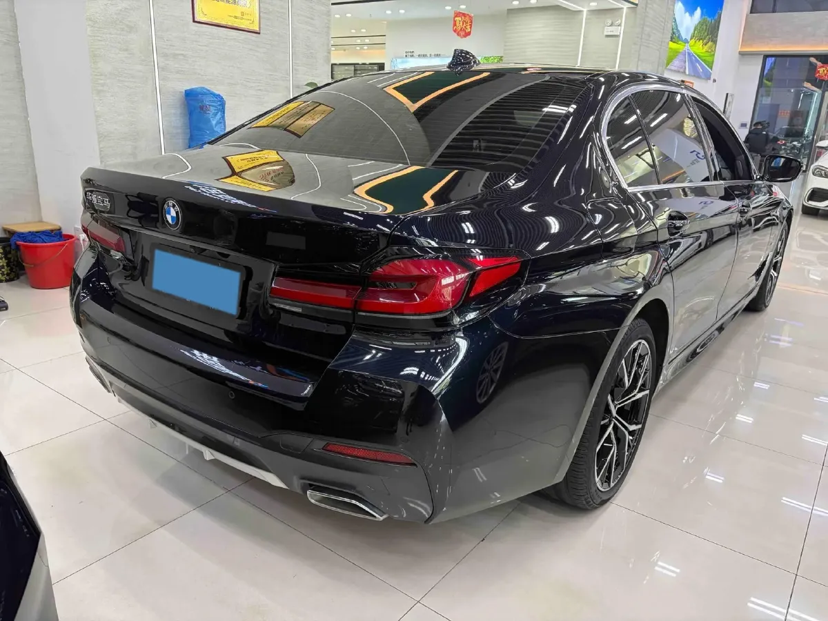 2021 BMW 5 Series 2.0T 252HP L4 8AT,autocango,china used car exporter,china ev exporter,chinese used car exporter,chinese used ev exporter