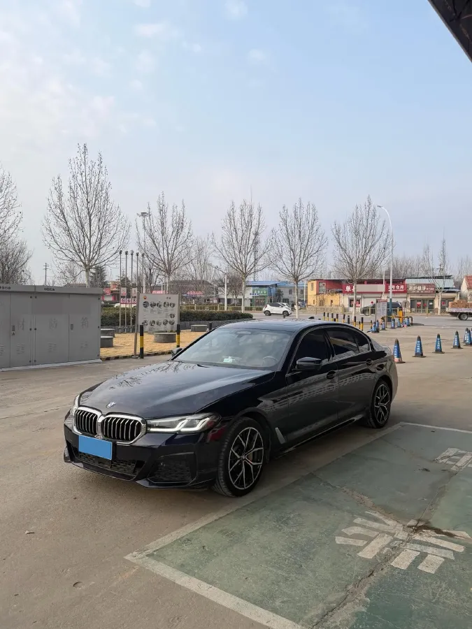 2021 BMW 5 Series 2.0T 252HP L4 8AT,autocango,china used car exporter,china ev exporter,chinese used car exporter,chinese used ev exporter