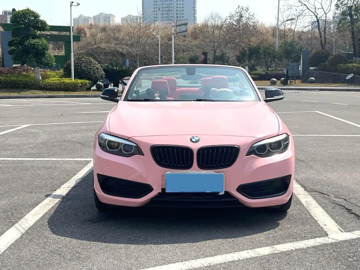 2019 BMW 2 Series 2.0T 184HP L4 8AT,autocango,china used car exporter,china ev exporter,chinese used car exporter,chinese used ev exporter