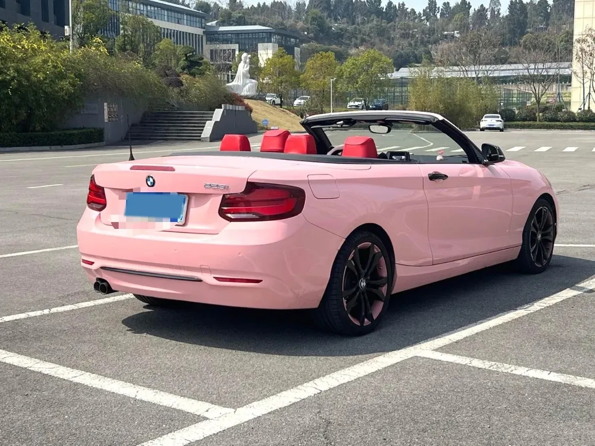 2019 BMW 2 Series 2.0T 184HP L4 8AT,autocango,china used car exporter,china ev exporter,chinese used car exporter,chinese used ev exporter