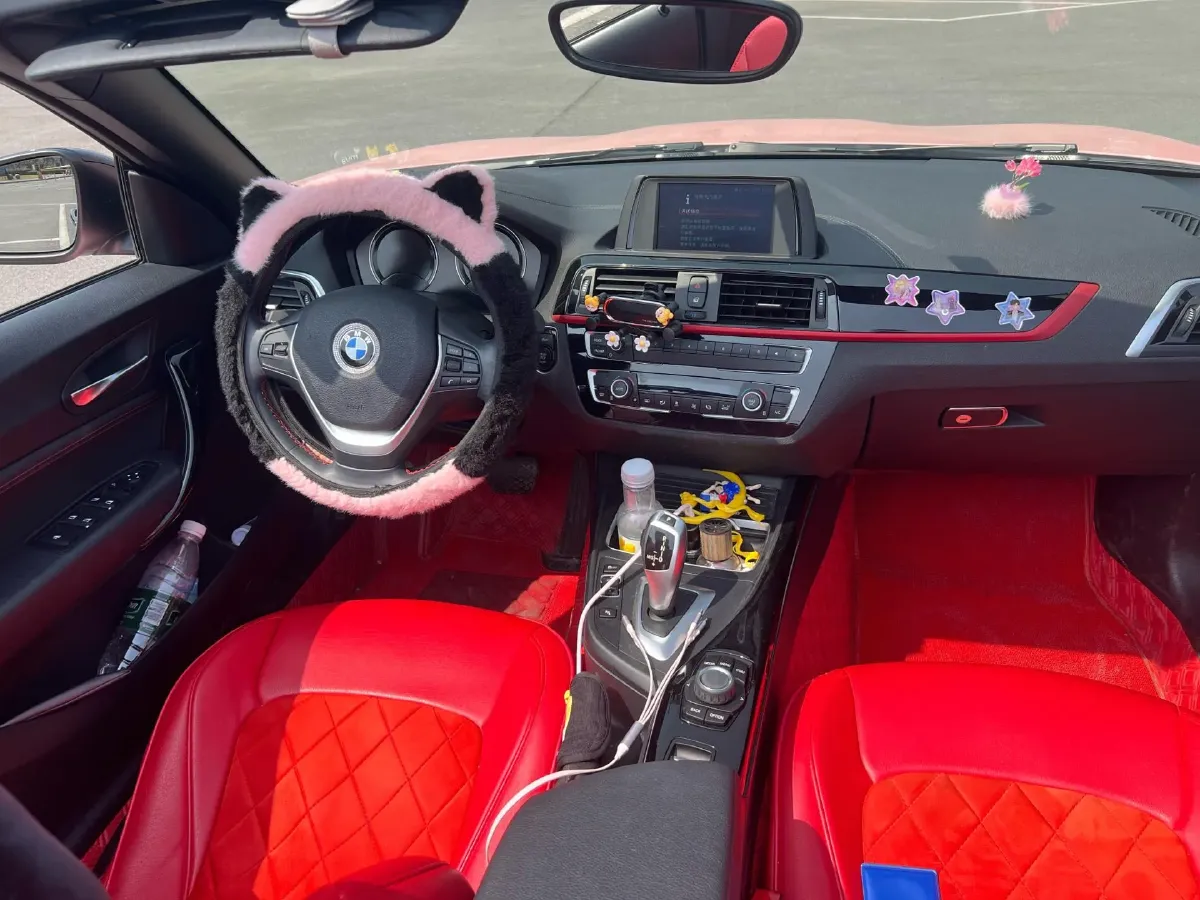 2019 BMW 2 Series 2.0T 184HP L4 8AT,autocango,china used car exporter,china ev exporter,chinese used car exporter,chinese used ev exporter
