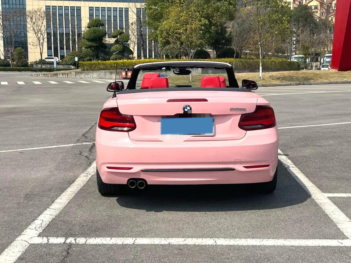 2019 BMW 2 Series 2.0T 184HP L4 8AT,autocango,china used car exporter,china ev exporter,chinese used car exporter,chinese used ev exporter