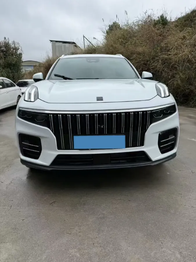 2024 LYNK&CO 09 2.0T 254HP L4 8AT,autocango,china used car exporter,china ev exporter,chinese used car exporter,chinese used ev exporter