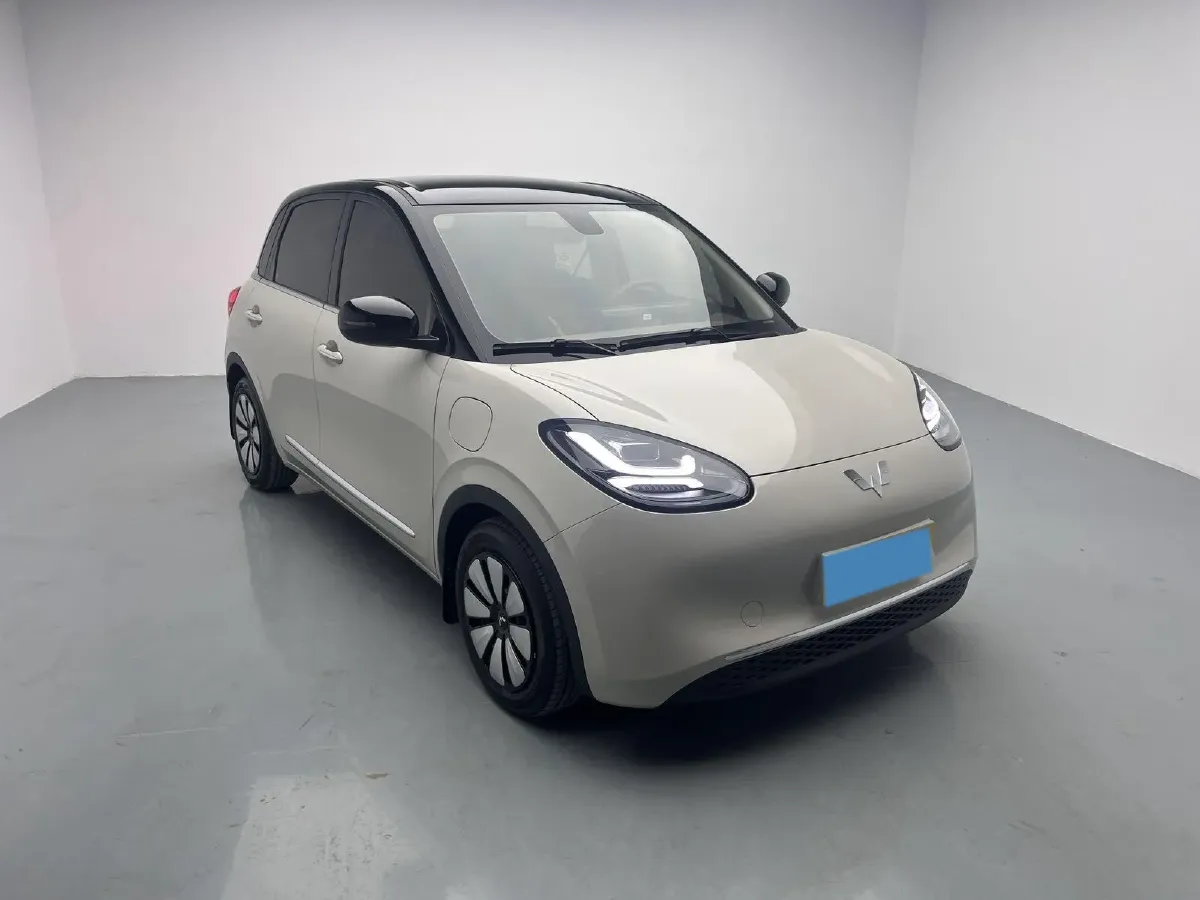 2024 WuLing BinGuo BEV 31.9KWH,autocango,china used car exporter,china ev exporter,chinese used car exporter,chinese used ev exporter