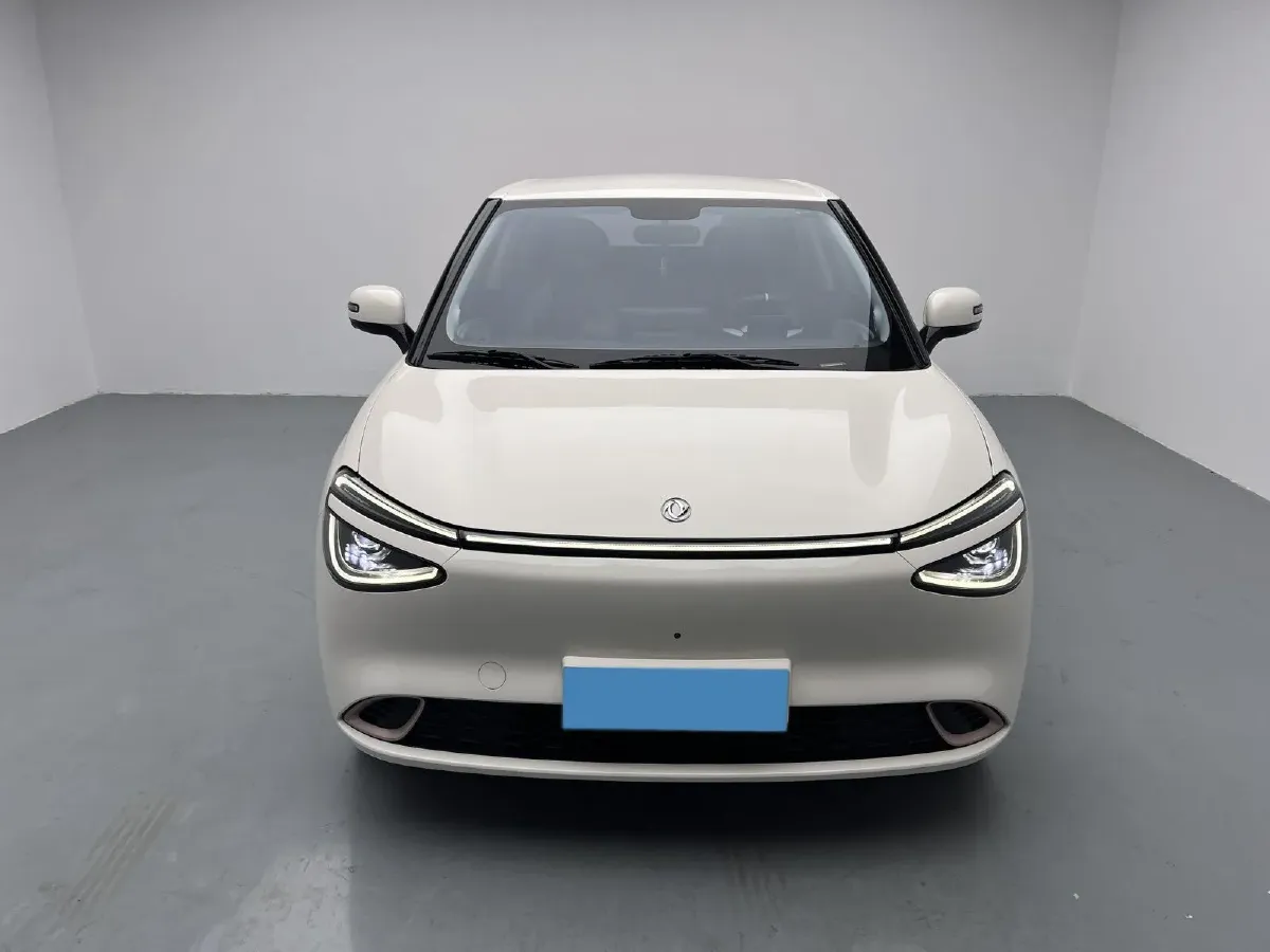 2024 DongFeng Nammi 01 BEV 42.3KWH,autocango,china used car exporter,china ev exporter,chinese used car exporter,chinese used ev exporter