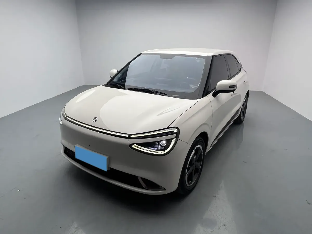 2024 DongFeng Nammi 01 BEV 42.3KWH,autocango,china used car exporter,china ev exporter,chinese used car exporter,chinese used ev exporter