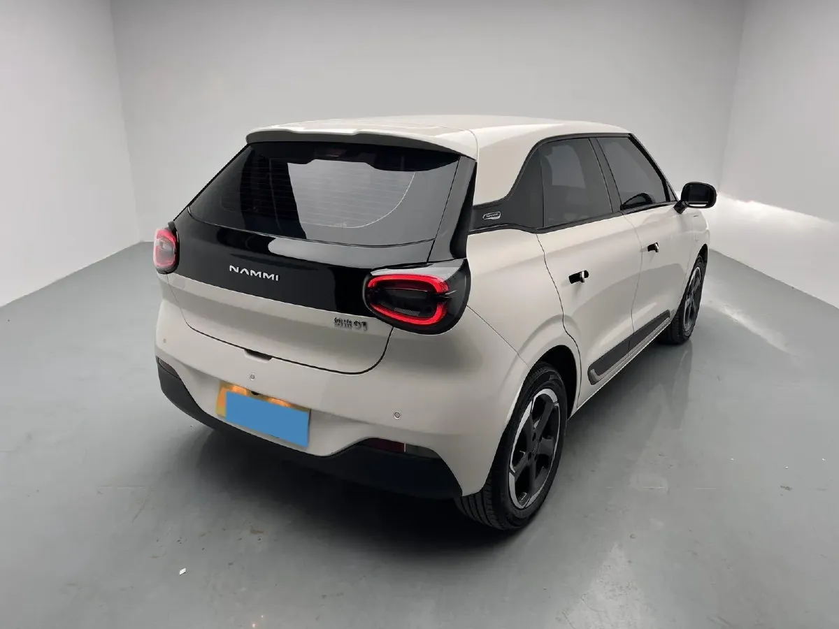 2024 DongFeng Nammi 01 BEV 42.3KWH,autocango,china used car exporter,china ev exporter,chinese used car exporter,chinese used ev exporter