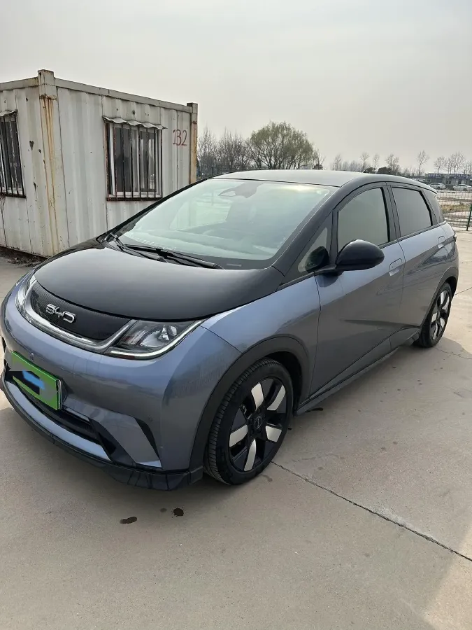 2023 BYD Dolphin BEV 44.928KWH,autocango,china used car exporter,china ev exporter,chinese used car exporter,chinese used ev exporter