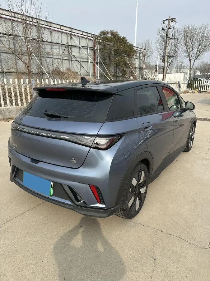 2023 BYD Dolphin BEV 44.928KWH,autocango,china used car exporter,china ev exporter,chinese used car exporter,chinese used ev exporter