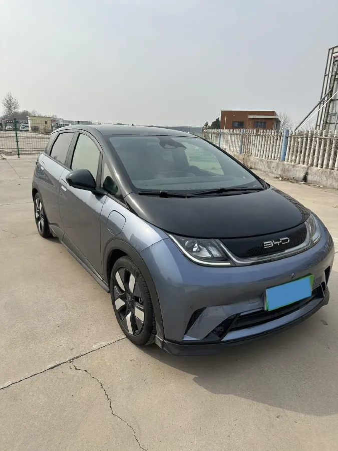 2023 BYD Dolphin BEV 44.928KWH,autocango,china used car exporter,china ev exporter,chinese used car exporter,chinese used ev exporter