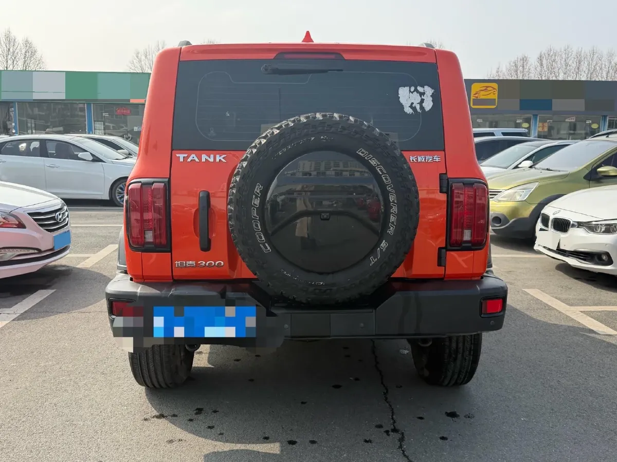 2021 Tank 300 2.0T 227HP L4 8AT,autocango,china used car exporter,china ev exporter,chinese used car exporter,chinese used ev exporter