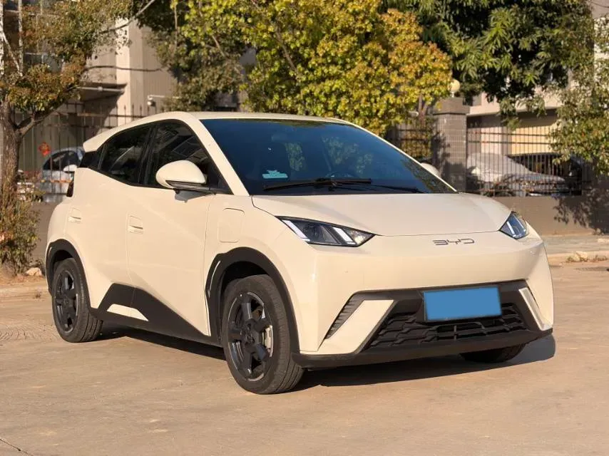 2023 BYD Seagull BEV 38.88KWH,autocango,china used car exporter,china ev exporter,chinese used car exporter,chinese used ev exporter